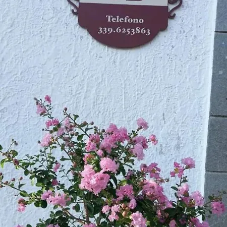 Oda ve Kahvaltı La Gerbolina 4*