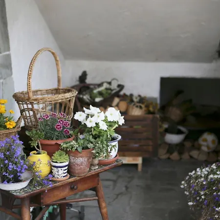 Bed & Breakfast La Gerbolina San Giusto Canavese